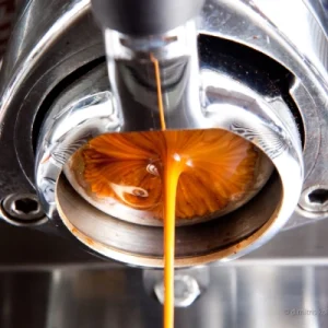 Barista Advanced