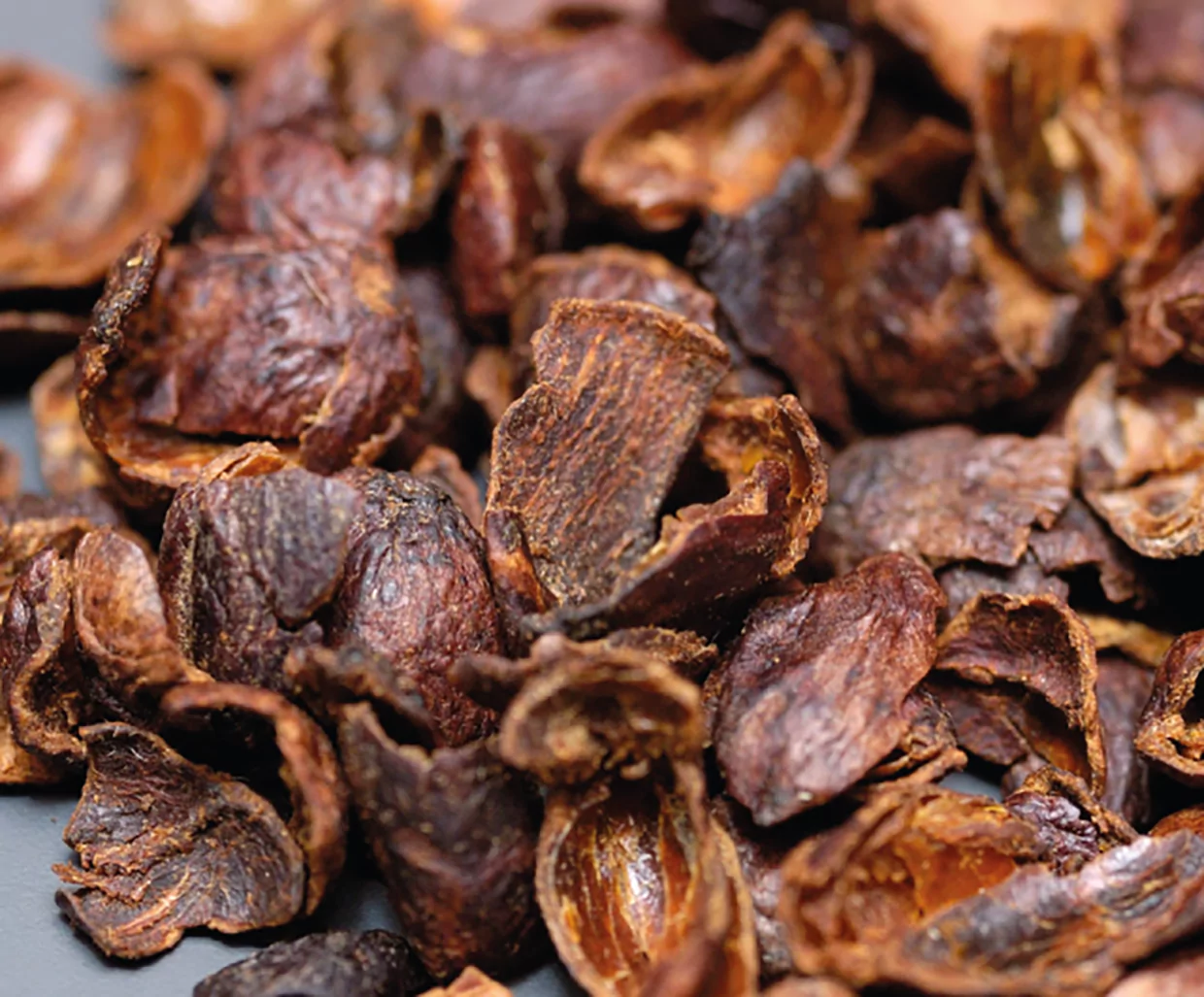 CASCARA - FINCA IRELANDA (Mexico)