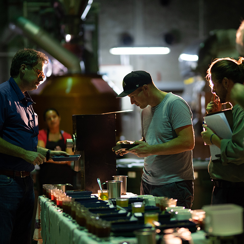 CASCARA - FINCA IRELANDA (Mexico) - Image 7