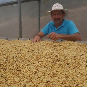 COSTA RICA – CAFETALERA HERBAZU – KENYA – MICROLOT